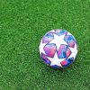 Colorful Soccer Ball paint by numbers