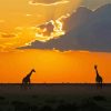 Sunset At Botswana Africa paint by numbers