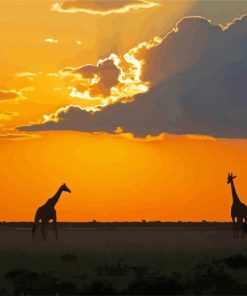 Sunset At Botswana Africa paint by numbers