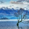Wanaka New Zeland paint by numbers