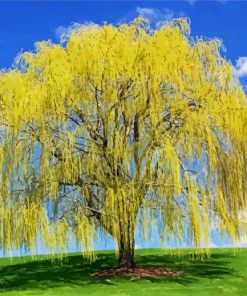 Weeping Willow paint by numbers