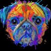 Aesthetic Colorful Splash Pug paint by numbers