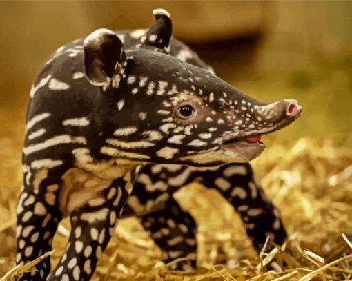 Baby Tapir paint by numbers