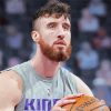 Basketball Player Kaminsky paint by numbers