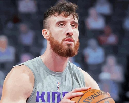 Basketball Player Kaminsky paint by numbers