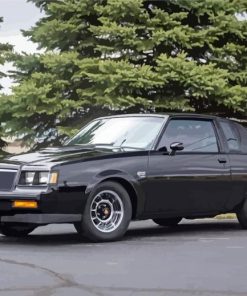 Black 1986 Buick Grand National paint by numbers
