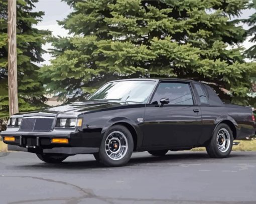 Black 1986 Buick Grand National paint by numbers
