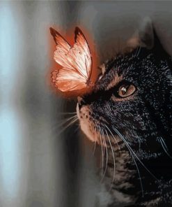 Cat With Butterfly paint by numbers