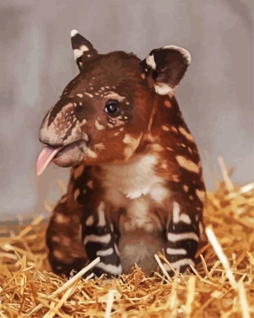 Cute Little Tapir Animal paint by numbers