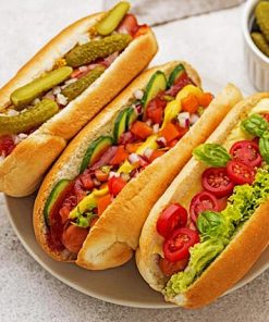 Hot Dogs paint by numbers