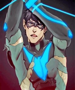 Nightwing Dick Grayson paint by numbers