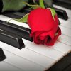 Aesthetic Piano And Red Rose paint by numbers