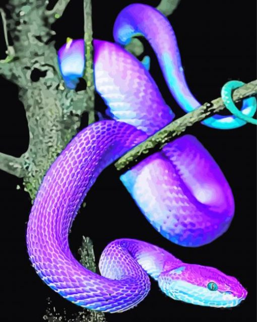 Purple Snake paint by numbers