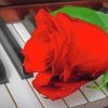 Rose On Piano paint by numbers
