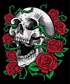 Skull Rose paint by numbers