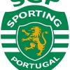Sporting CP paint by numbers