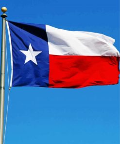 Texas Flag paint by numbers