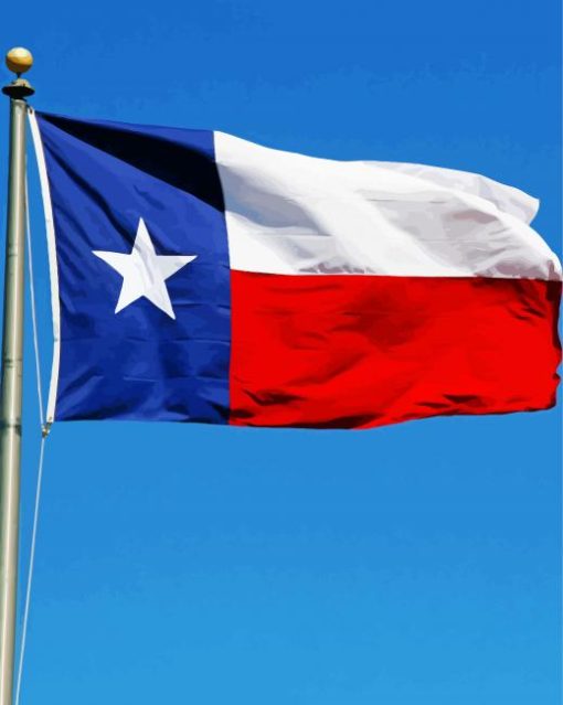 Texas Flag paint by numbers