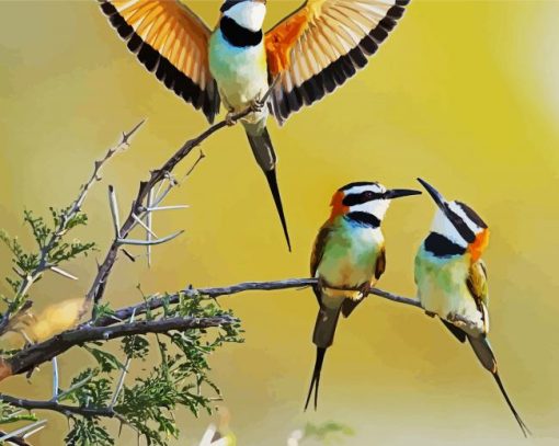 Three Little Birds In Kenya paint by numbers