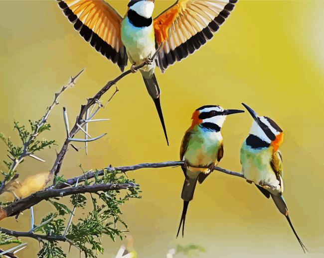 Three Little Birds In Kenya paint by numbers