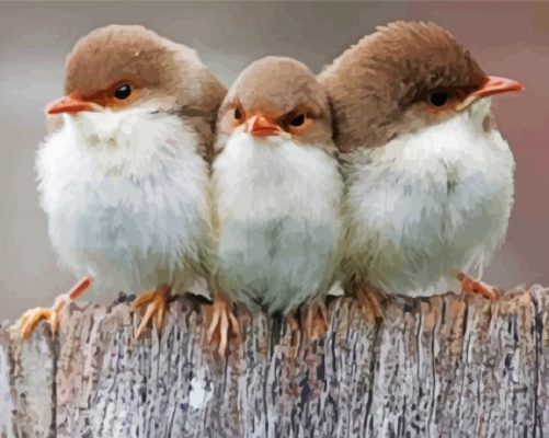 Three Little Birds paint by numbers