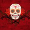 Skull Rose paint by numbers