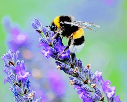 Bee On Lavender Flower paint by numbers