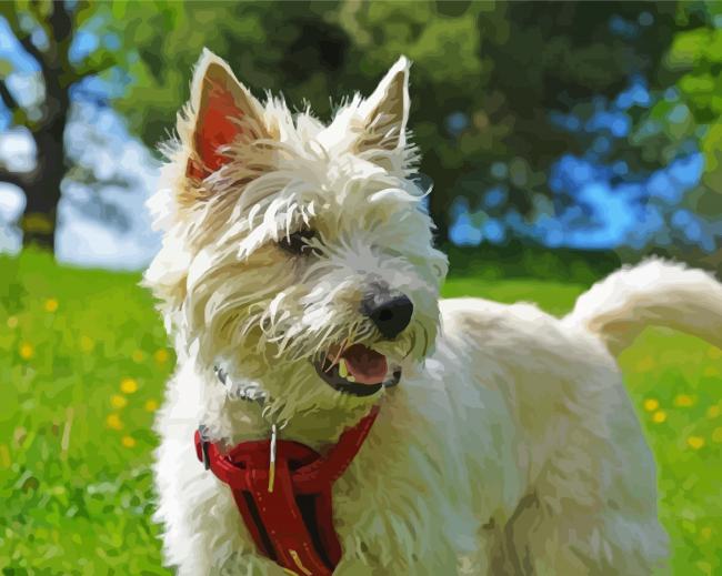 Cairn Terrier Cross Puppy paint by numbers