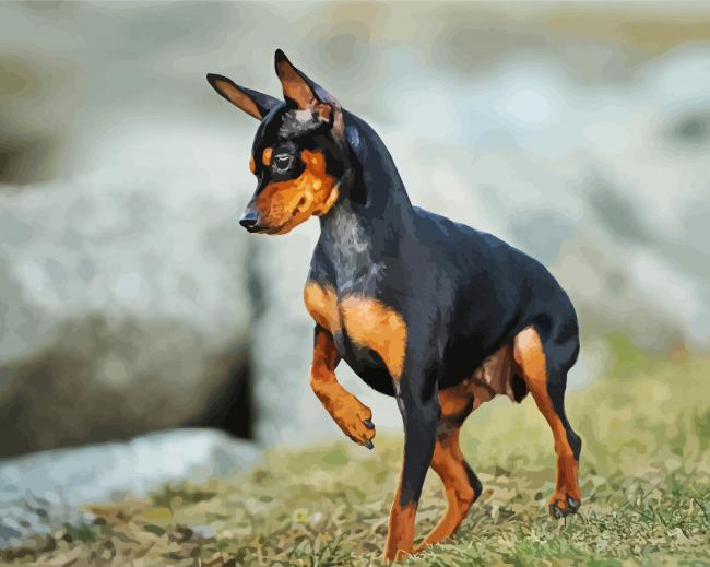 Miniature Doberman Pinscher - Paint By Numbers - NumPaint - Paint by ...