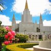 Oakland California Temple paint by Numbers