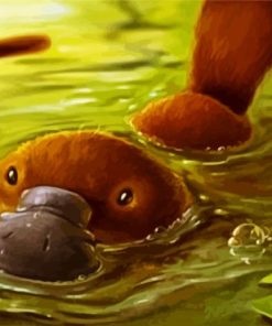 Platypus Paint By Numbers