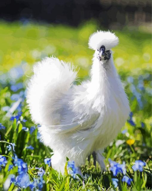 Silkie Bird paint by numbers