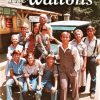 The waltons poster paint by number