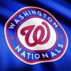 washington nationals Logo paint by numbers