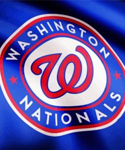 washington nationals Logo paint by numbers