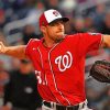 Washington Nationals Player paint by numbers