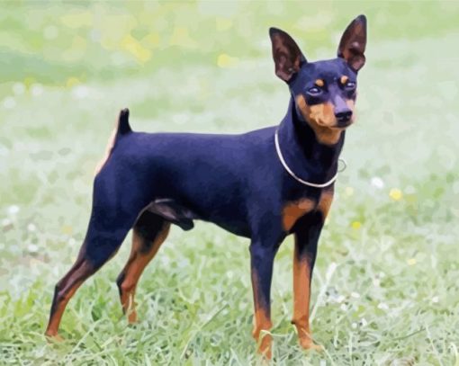 Aesthetic Miniature Doberman Pinscher paint by numbers
