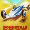 bonneville racing poster paint by number