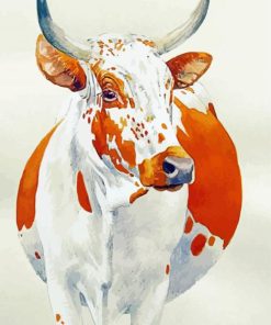 Nguni Cow Paint by numbers