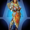 Paladin Lady Liadrin paint by numbers
