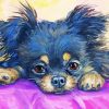 Puppy Black And Tan Chihuahua paint by numbers