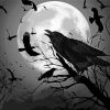 Raven and Moon Paint by numbers
