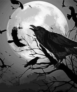 Raven and Moon Paint by numbers