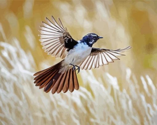willy wagtail flying bird paint by number