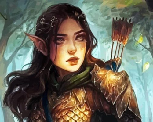 Dungeon And Dragons Lady Paint by numbers