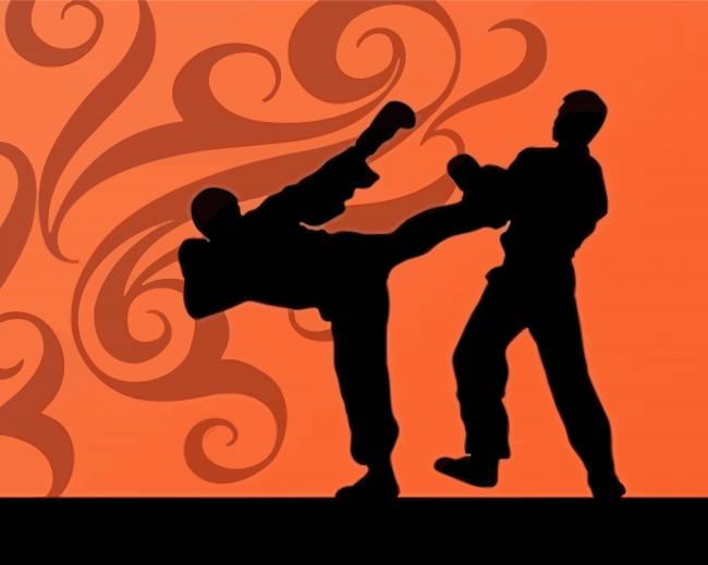 Taekwondo Silhouette Paint by numbers