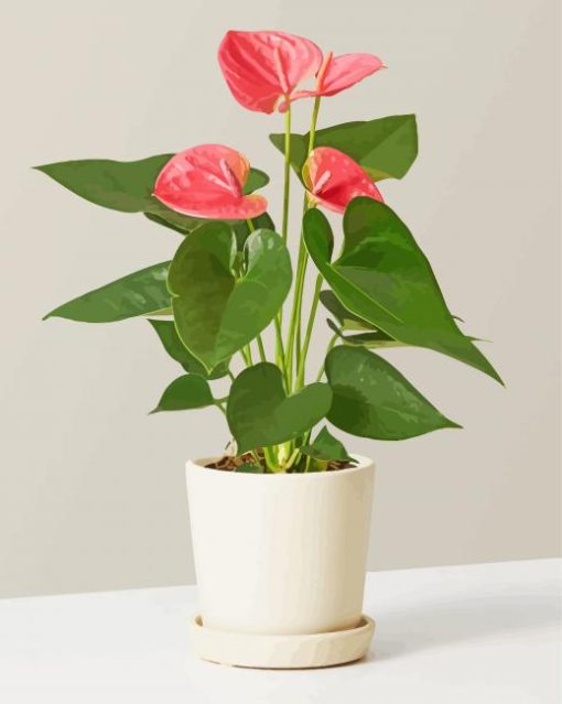 Aesthetic Anthurium Flowers Plant Paint by numbers