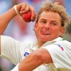 Shane Warne Paint by numbers