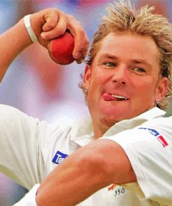 Shane Warne Paint by numbers