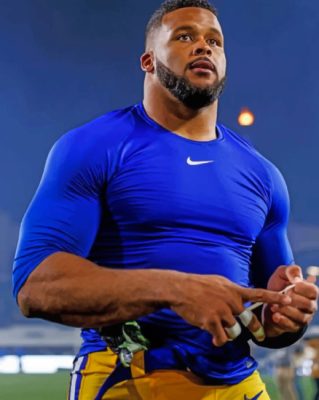 Aaron Donald paint by number